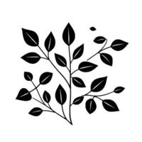 Minimalist Monochrome Illustration of a Plants Branch, featuring elegantly shaped leaves and sleek, flowing lines against a white background. vector
