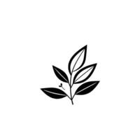 Minimalist Black and White Botanical Illustration of a Leafy Branch in a Clean, Modern Style, Emphasizing Natures Elegance and Simplicity. vector