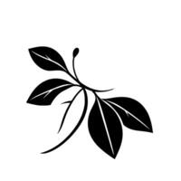 Minimalist Illustration of a Delicate Plant Branch with Black and White Leaves, and a Bud on a Simple White Background. vector