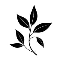 illustration of a sleek, black, stylized plant sprig with large, pointed leaves and delicate vein details on a pristine white background. vector