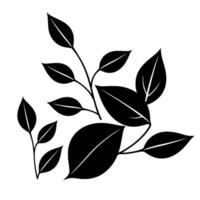 Black and white botanical illustration featuring stylized leaves and branches, minimalist on a clean white background. vector