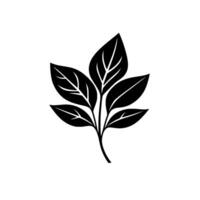 Minimalist black and white illustration of a sprig with stylized leaves, displaying vein details against a plain white backdrop. vector