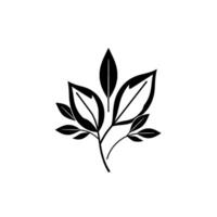 Minimalist Black Leafy Arrangement on White Backdrop A Simple, Elegant Botanical . vector