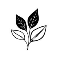 Stylized Monochrome Botanical Illustration Four Leaf Sprig Depicted in Bold Black and White Contrast with Veins Outlined. vector