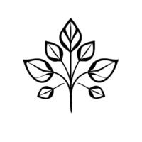 Elegant Black and White Botanical Illustration A Simple Leafy Sprig with Modern on White Background. vector