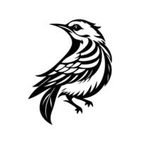 Graceful Black White Bird Silhouette Intricate Line Art with Feather Detailing, Focused on a Side Profile. vector