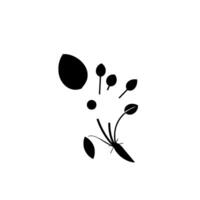 Minimalist black and white illustration of an abstract plant, featuring leaves, buds, and a central stem, set against a pure white background. vector