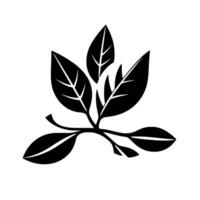 Elegant Black and White Botanical Illustration Stylized Leaves and Branches on a Pure White Background, Perfect for vector