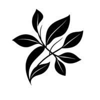 Symmetrical Black Leaf Arrangement on White A Minimalist NatureInspired with Detailed Veins, Suitable for or Pattern Use. vector