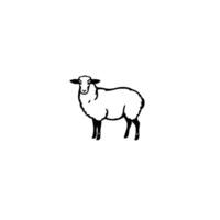 A minimalist black and white illustration of a sheep in a standing pose, set against a bright white background. vector