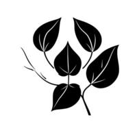 Simple black and white botanical illustration of a plant with five heartshaped leaves and a few tiny branches, on a white background. vector