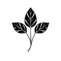 Elegant minimalist black and white illustration of three stylized leaves on slender stems, with a clean, . vector