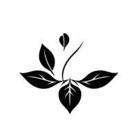 Abstract monochrome depiction of a plant with a minimalist , featuring stylized leaves and stem against a stark white backdrop. vector