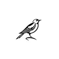 Minimalist Black and White Illustration of a Perched Songbird with Detailed Feather and Contour Lines on White Background. vector