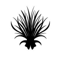 Abstract Black Silhouette of a Plant or Bush with Long, Spiky Leaves on a White Background Element. vector