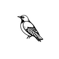 A minimalist black and white illustration of a sparrow bird perched, side profile view, on white background. vector