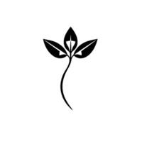 Minimalist Black and White of a Leafy Sprout, Featuring Glossy Leaves and Curving Stem Against White Backdrop. vector