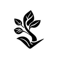 Monochromatic stylized plant with varying leaf sizes and intricate vein detail, against a clean white backdrop minimal . vector