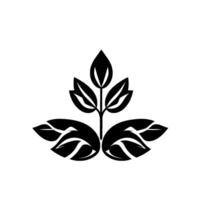 Symmetrical black and white botanical illustration of stylized leaves and a central stem, evoking elegance and simplicity, on a plain background. vector