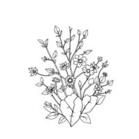 An elegant, minimalist black and white illustration of a floral bouquet with intricate details, featuring various flower types and foliage, arranged symmetrically against a white background. vector