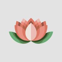 Soft Pink Lotus Bloom on a Clean White Background vector