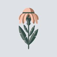 A flower with leaves and a stem on a gray background vector