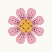 A pink flower with yellow center on a white background vector