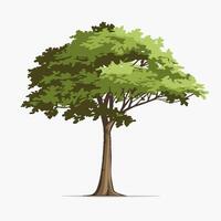 Clean and Simple Tree with a Neutral White Backdrop vector