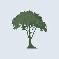 A tree with a green leaf on it vector