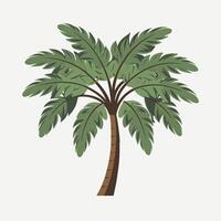 Simple and Clean Palm Tree in Flat Illustration vector