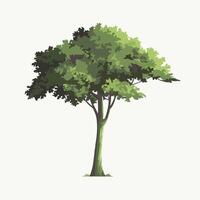 Minimalist Tree with Lush Foliage in Flat Design vector