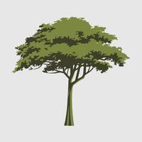 Green Tree Silhouette on a Plain White Background vector