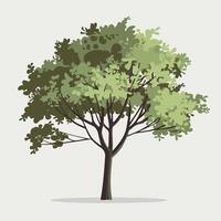 Flat Illustration of a Green Tree with a Plain Background vector