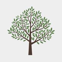 A simple tree icon with leaves on it is shown vector