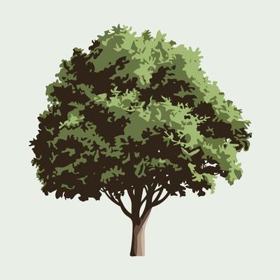 Minimalist Tree Illustration with an Elegant Touch