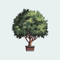 A potted tree on a light blue background vector