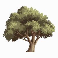 An illustration of a tree with leaves vector