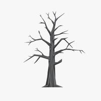 A tree with no leaves on it is shown vector
