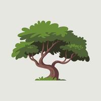 Clean and Elegant Tree Isolated on White vector