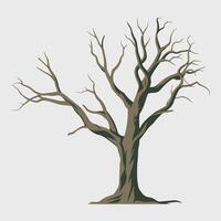 A tree with no leaves on a white background vector