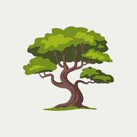 Flat Illustration of a Lush Tree with a Simple Look vector