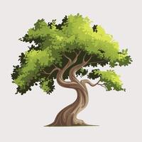 An illustration of a tree with leaves vector