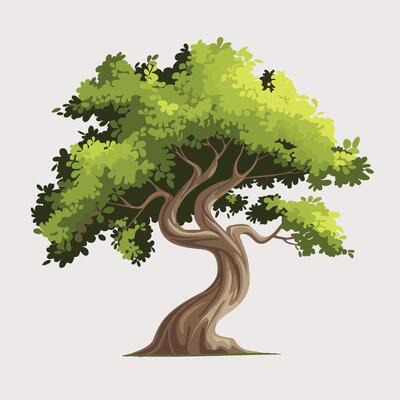 An illustration of a tree with leaves