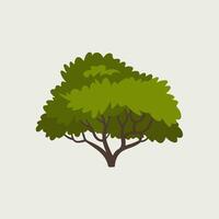 A tree with green leaves on a white background vector