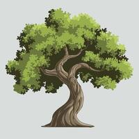 illustration of a green tree vector