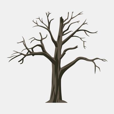 A tree with no leaves on a white background