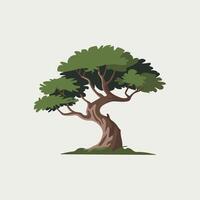 Smooth and Simple Tree in a Flat Style vector