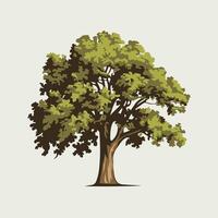 A tree with leaves on it is shown vector