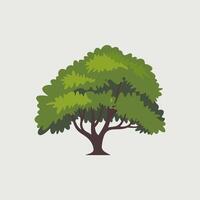 Flat Illustration of a Single Tree on a Plain Background vector