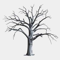 A black and white drawing of a tree with no leaves vector